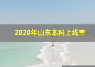 2020年山东本科上线率