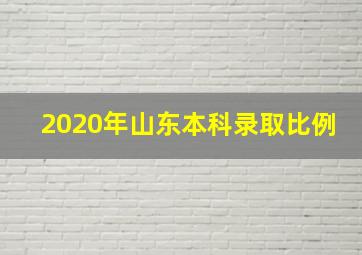 2020年山东本科录取比例