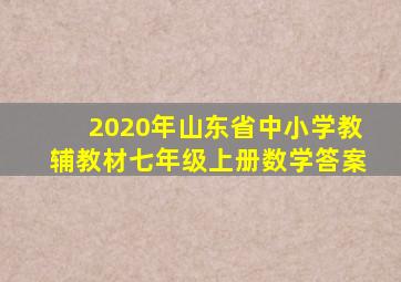 2020年山东省中小学教辅教材七年级上册数学答案