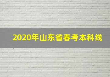 2020年山东省春考本科线