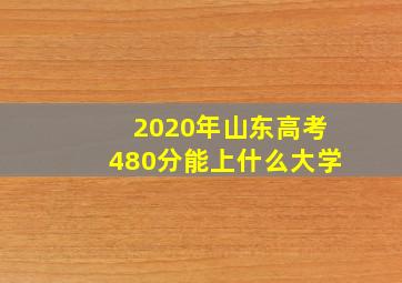 2020年山东高考480分能上什么大学