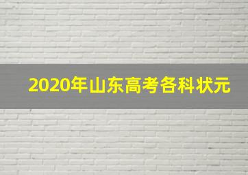 2020年山东高考各科状元