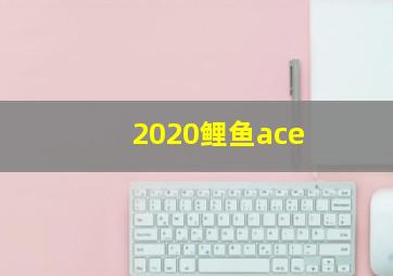 2020鲤鱼ace