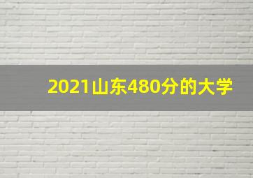 2021山东480分的大学