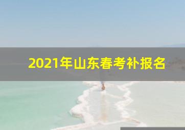 2021年山东春考补报名