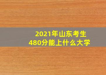 2021年山东考生480分能上什么大学