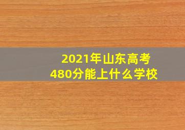 2021年山东高考480分能上什么学校