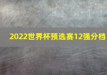 2022世界杯预选赛12强分档