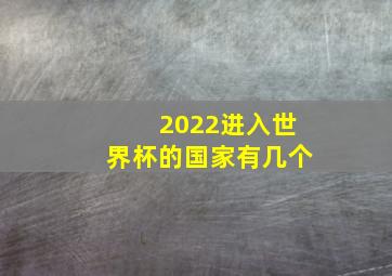 2022进入世界杯的国家有几个