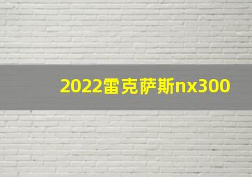 2022雷克萨斯nx300