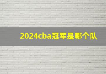 2024cba冠军是哪个队