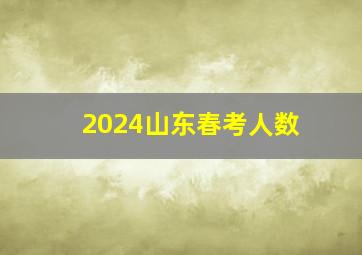 2024山东春考人数