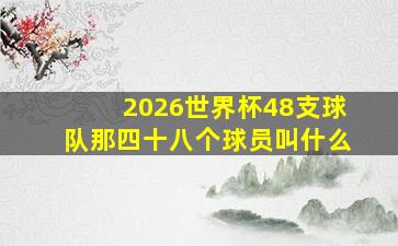 2026世界杯48支球队那四十八个球员叫什么