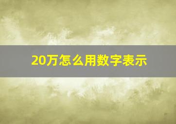 20万怎么用数字表示