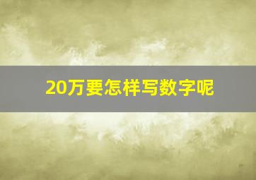 20万要怎样写数字呢