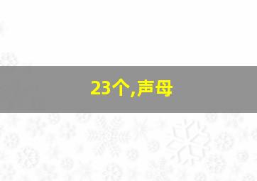 23个,声母