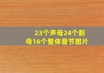 23个声母24个韵母16个整体音节图片