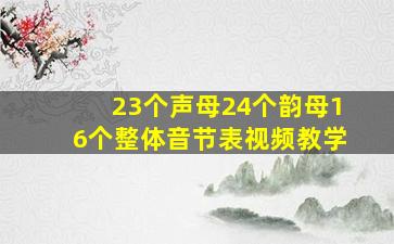 23个声母24个韵母16个整体音节表视频教学