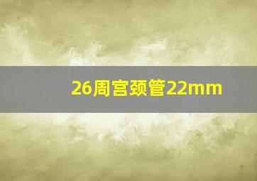 26周宫颈管22mm