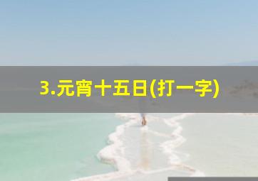 3.元宵十五日(打一字)