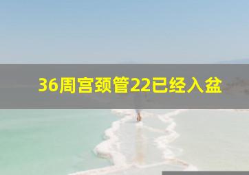 36周宫颈管22已经入盆