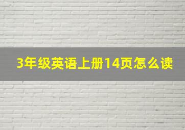 3年级英语上册14页怎么读