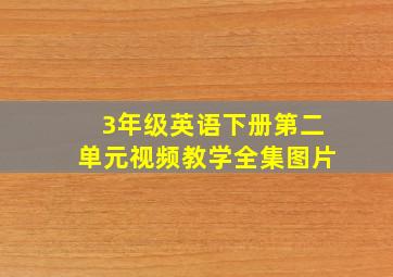 3年级英语下册第二单元视频教学全集图片