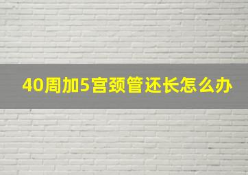 40周加5宫颈管还长怎么办