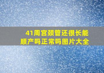 41周宫颈管还很长能顺产吗正常吗图片大全