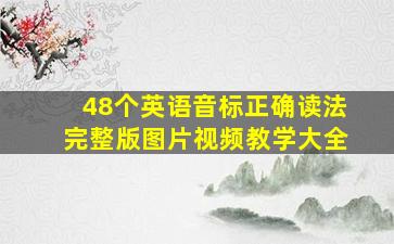 48个英语音标正确读法完整版图片视频教学大全