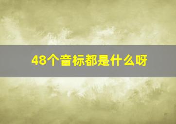 48个音标都是什么呀