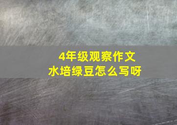 4年级观察作文水培绿豆怎么写呀