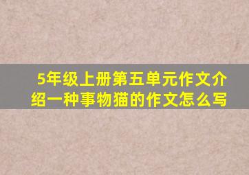 5年级上册第五单元作文介绍一种事物猫的作文怎么写