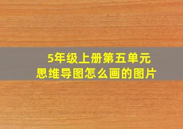 5年级上册第五单元思维导图怎么画的图片