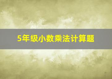 5年级小数乘法计算题