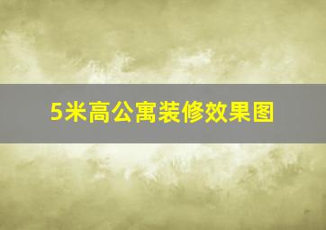 5米高公寓装修效果图