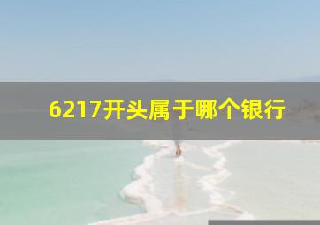 6217开头属于哪个银行