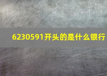 6230591开头的是什么银行