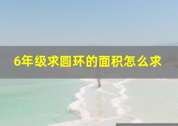 6年级求圆环的面积怎么求