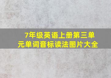 7年级英语上册第三单元单词音标读法图片大全