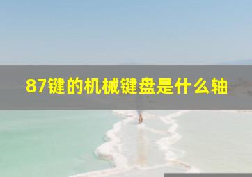 87键的机械键盘是什么轴