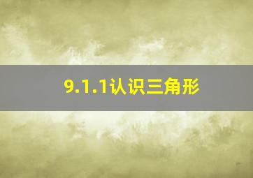 9.1.1认识三角形