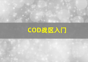 COD战区入门