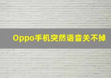 Oppo手机突然语音关不掉