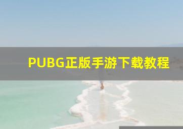 PUBG正版手游下载教程