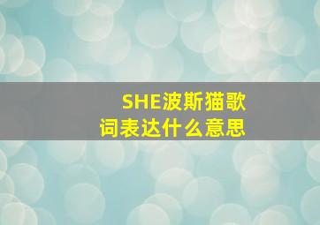 SHE波斯猫歌词表达什么意思