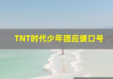 TNT时代少年团应援口号