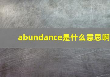 abundance是什么意思啊