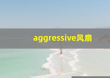 aggressive风扇