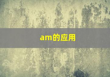 am的应用